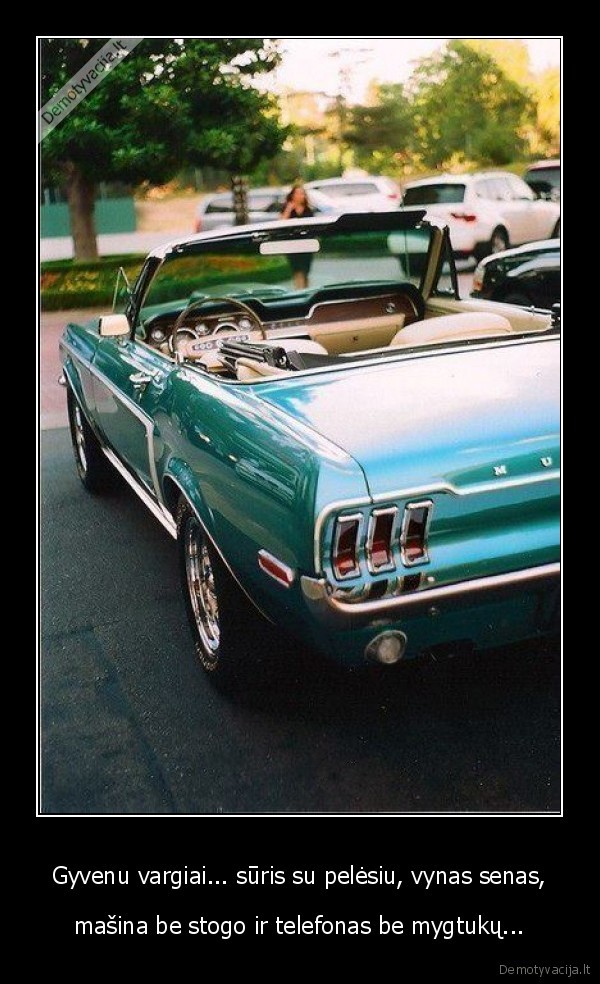 Gyvenu vargiai... sūris su pelėsiu, vynas senas, - mašina be stogo ir telefonas be mygtukų...