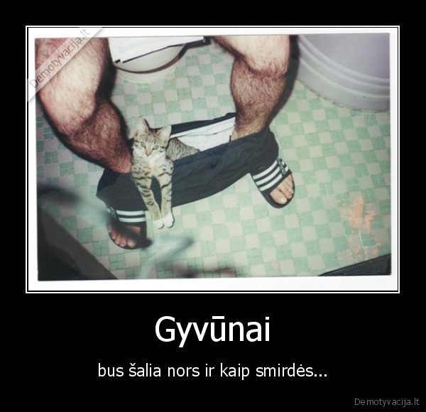 Gyvūnai - bus šalia nors ir kaip smirdės...