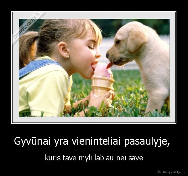 Gyvūnai yra vieninteliai pasaulyje,  - kuris tave myli labiau nei save