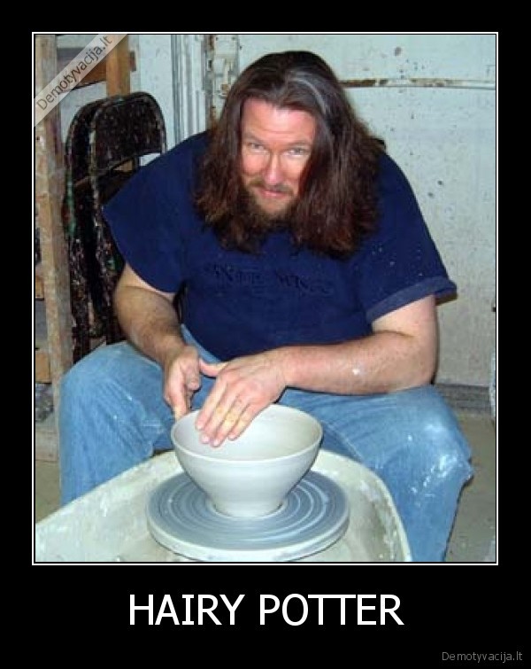 HAIRY POTTER - 