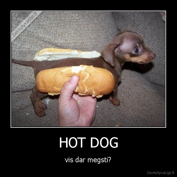 HOT DOG - vis dar megsti?