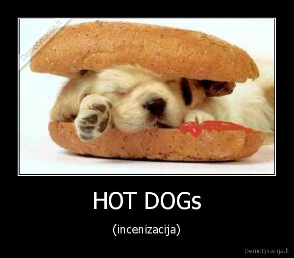 HOT DOGs - (incenizacija)