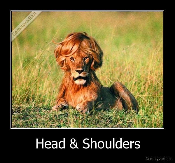 Head & Shoulders - 