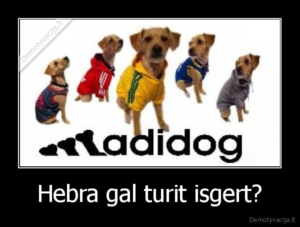 Hebra gal turit isgert? - 