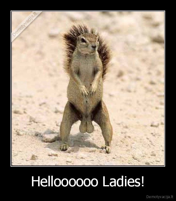 Helloooooo Ladies! - 