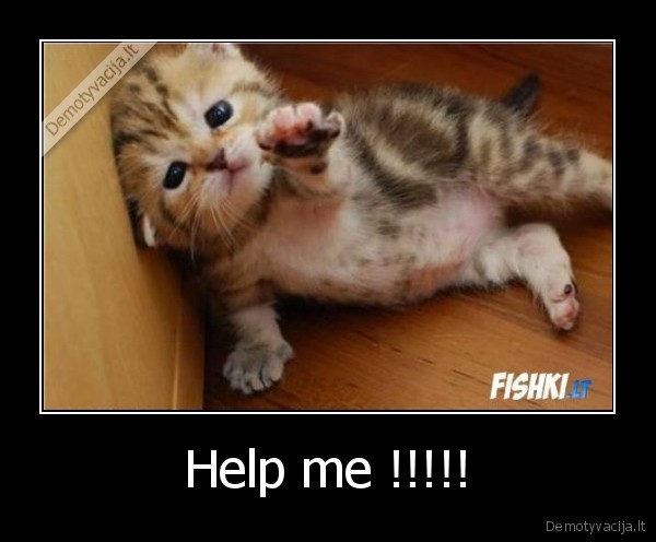 Help me !!!!! - 