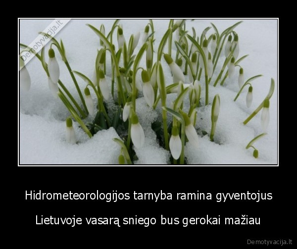 Hidrometeorologijos tarnyba ramina gyventojus - Lietuvoje vasarą sniego bus gerokai mažiau