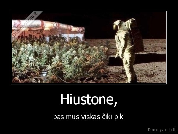 Hiustone, - pas mus viskas čiki piki