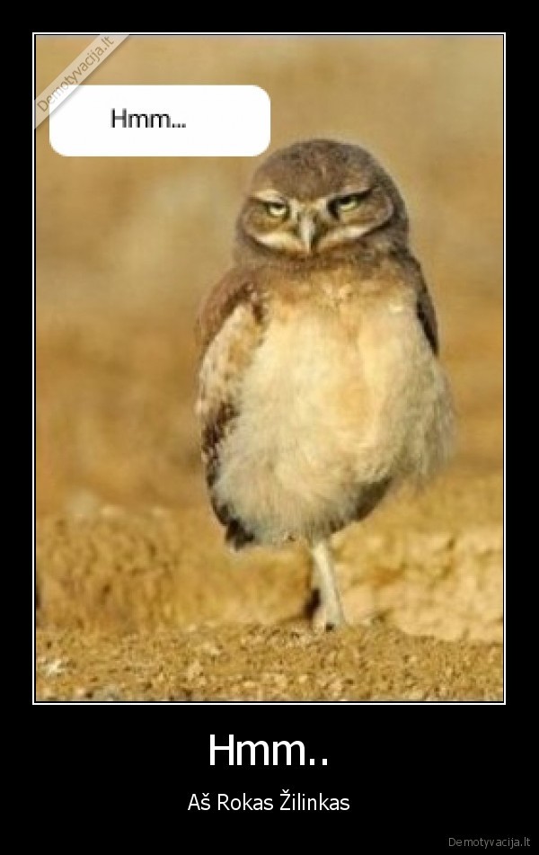 Hmm.. - Aš Rokas Žilinkas
