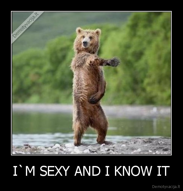 I`M SEXY AND I KNOW IT - 