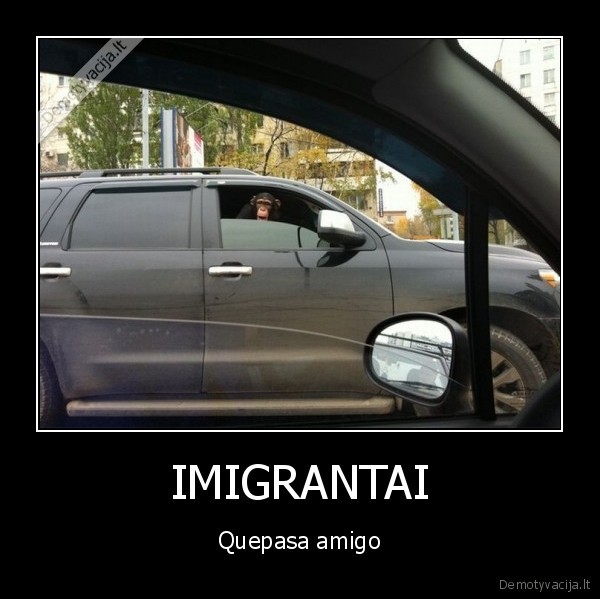 IMIGRANTAI - Quepasa amigo