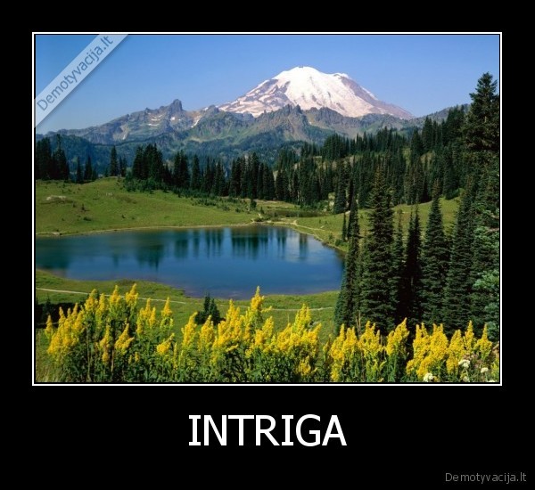 INTRIGA - 