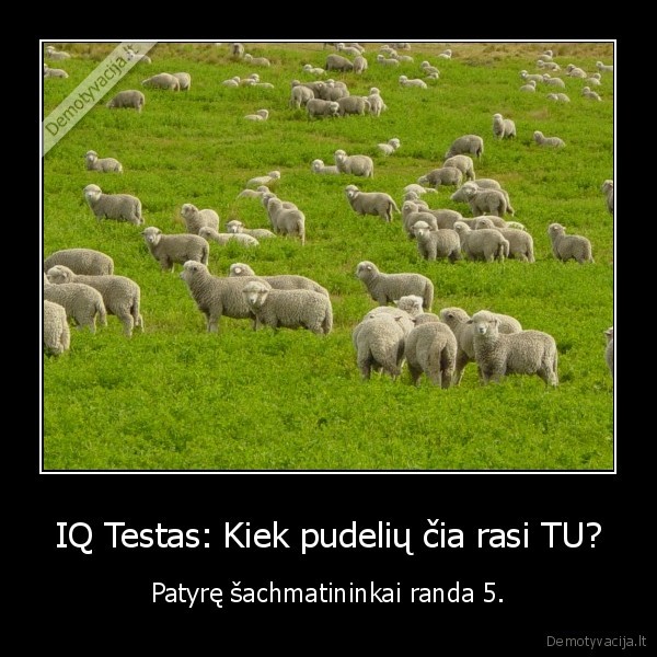 IQ Testas: Kiek pudelių čia rasi TU? - Patyrę šachmatininkai randa 5.