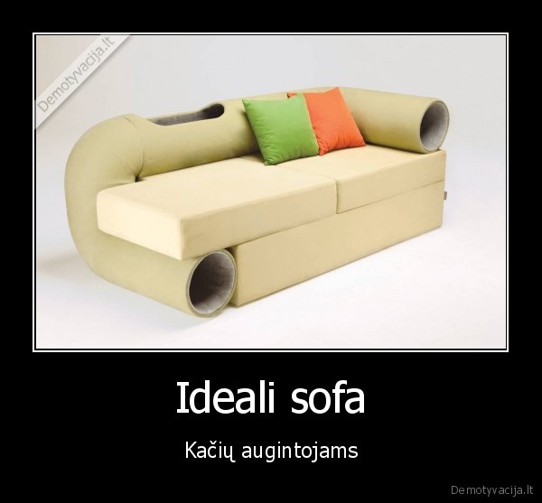 Ideali sofa - Kačių augintojams