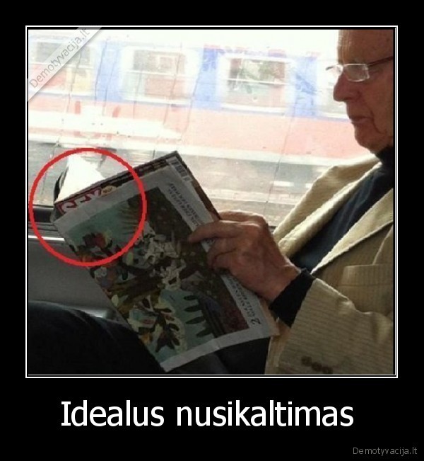 Idealus nusikaltimas  - 