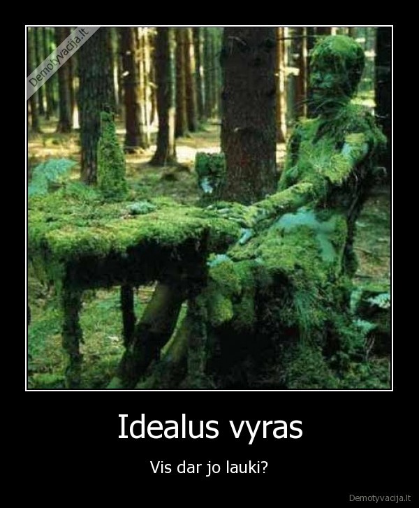 Idealus vyras - Vis dar jo lauki?