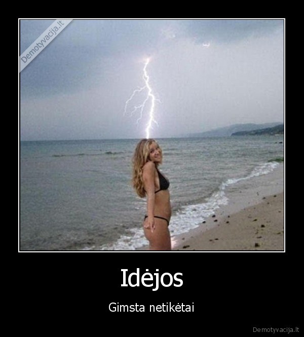 Idėjos - Gimsta netikėtai