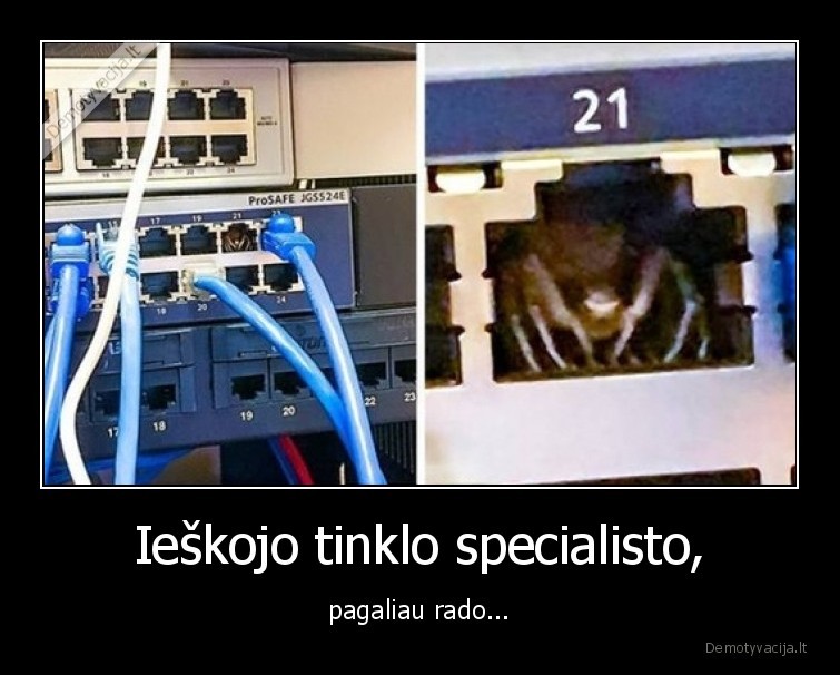 Ieškojo tinklo specialisto, - pagaliau rado...