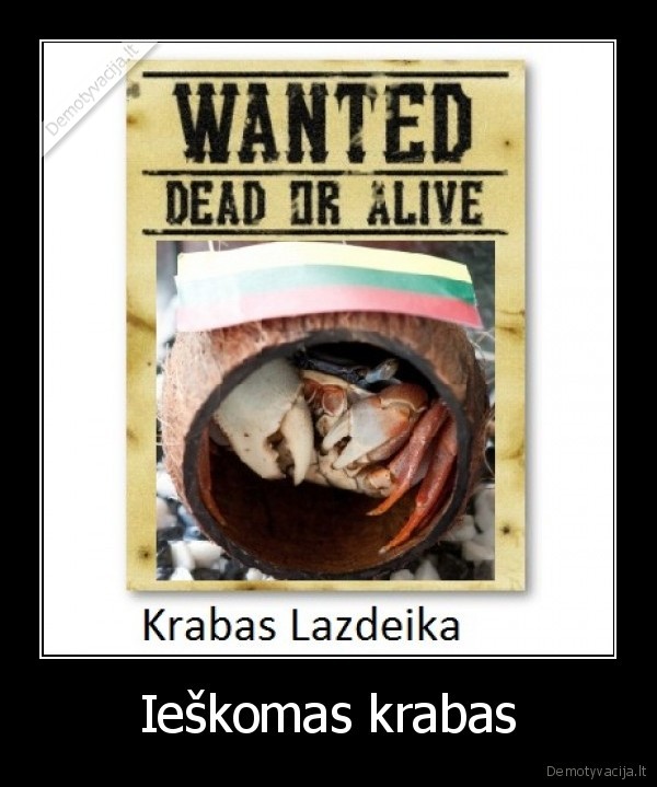 Ieškomas krabas - 