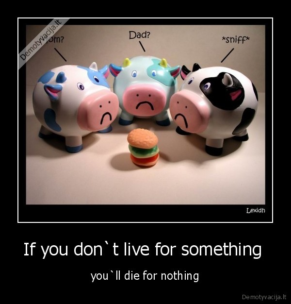 If you don`t live for something  - you`ll die for nothing