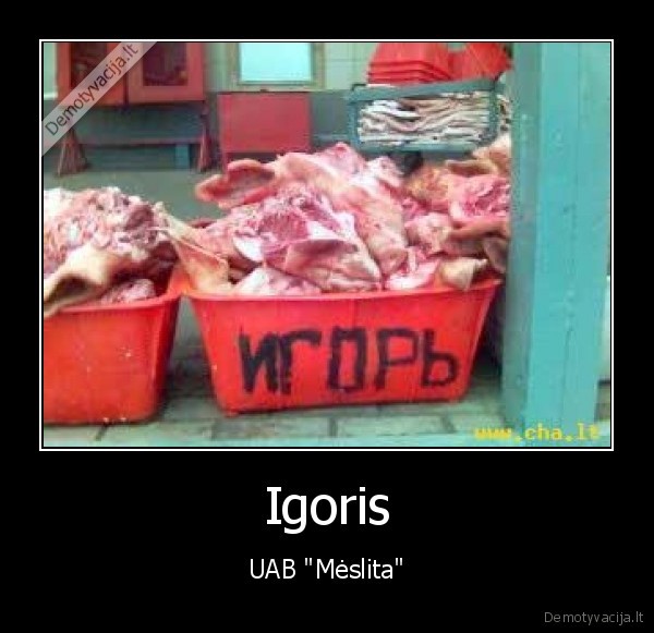 Igoris - UAB "Mėslita"