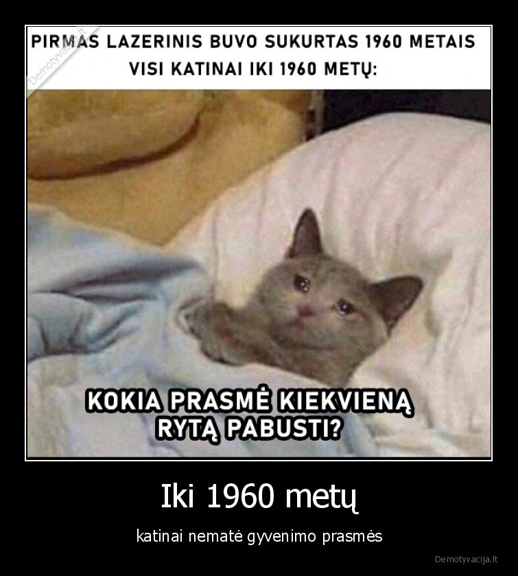 Iki 1960 metų - katinai nematė gyvenimo prasmės