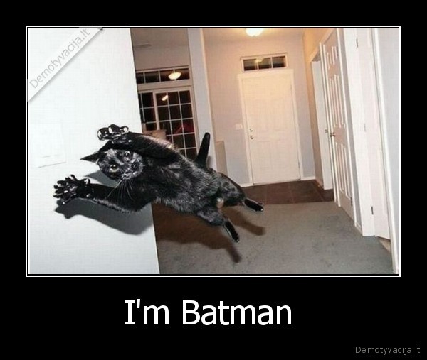 I'm Batman  - 