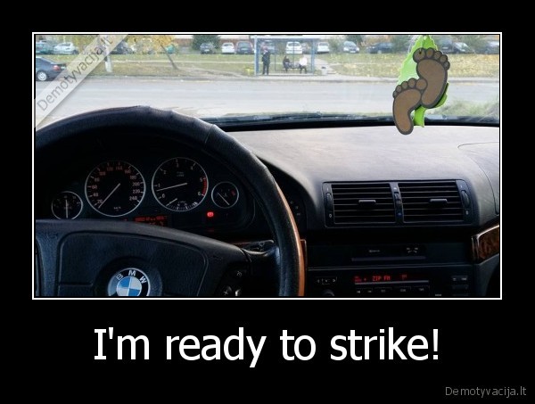 I'm ready to strike! - 