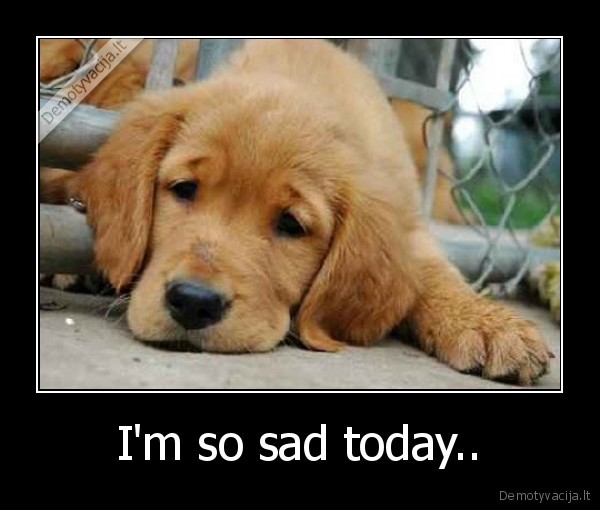 I'm so sad today.. - 