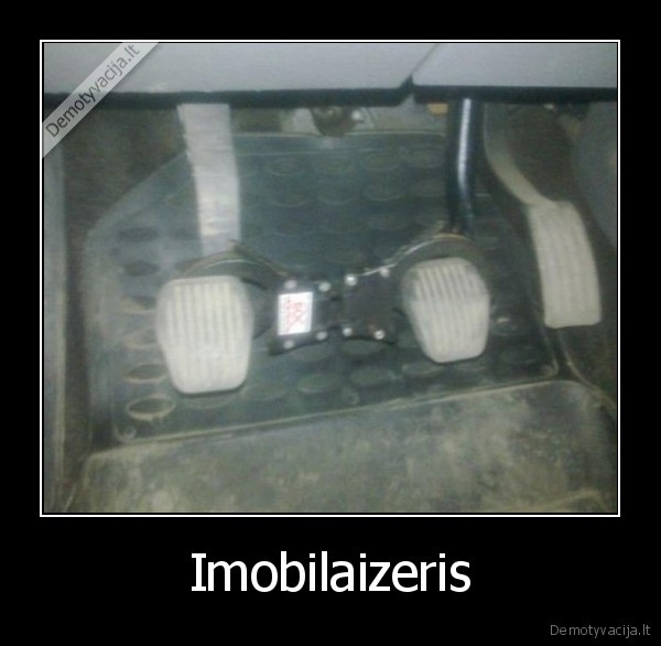 Imobilaizeris - 