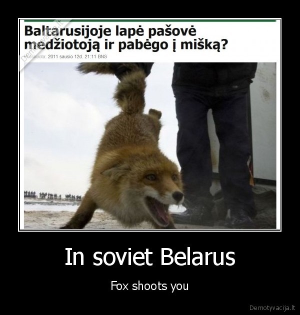 In soviet Belarus - Fox shoots you