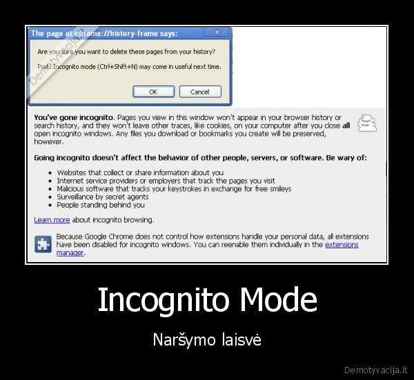 Incognito Mode - Naršymo laisvė