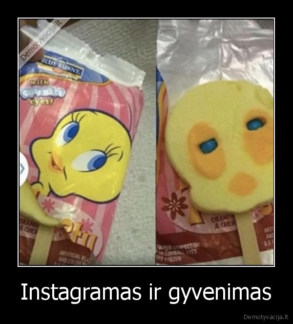 Instagramas ir gyvenimas - 