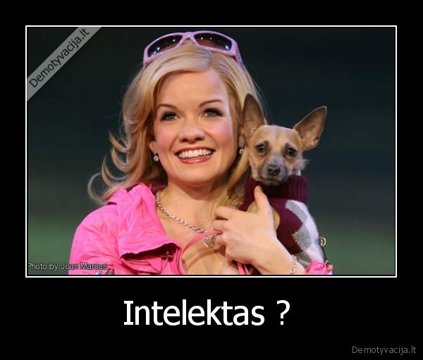 Intelektas ?  - 