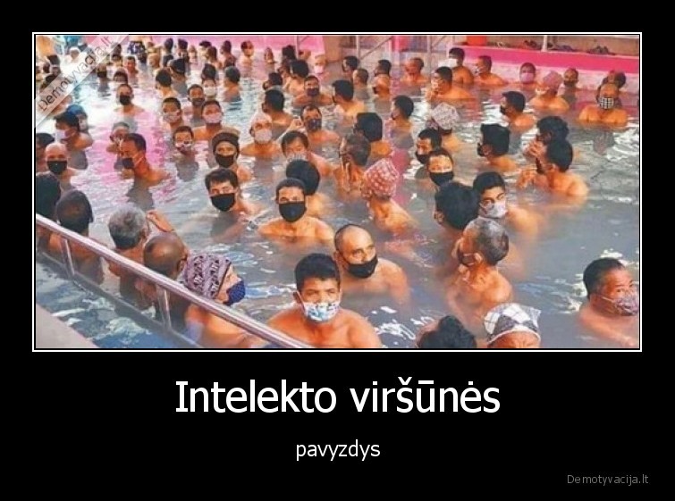 Intelekto viršūnės - pavyzdys