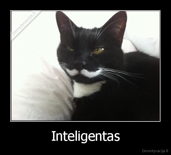 Inteligentas - 