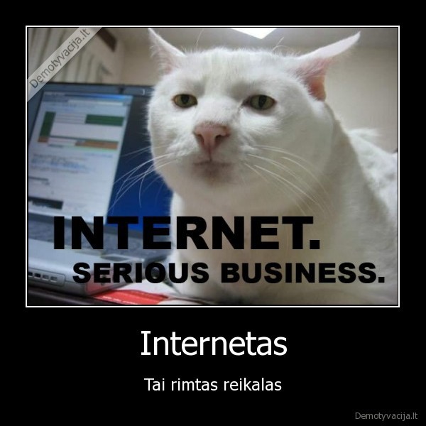 Internetas - Tai rimtas reikalas