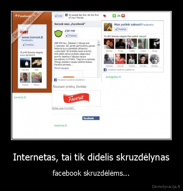 Internetas, tai tik didelis skruzdėlynas - facebook skruzdėlėms...