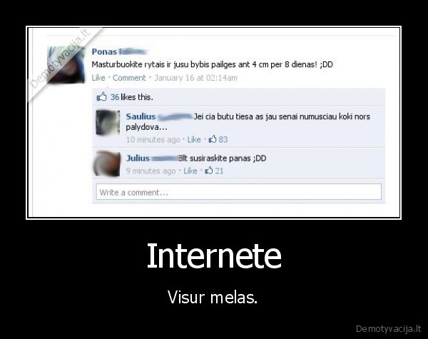 Internete - Visur melas.