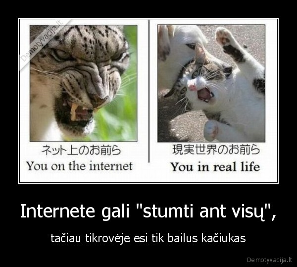 Internete gali "stumti ant visų", - tačiau tikrovėje esi tik bailus kačiukas