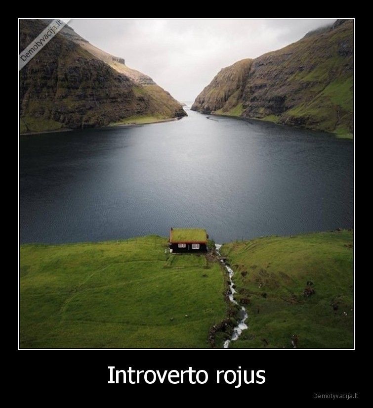 Introverto rojus - 