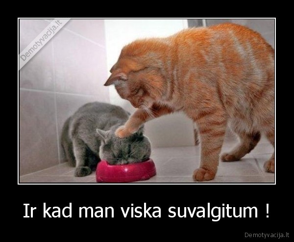 Ir kad man viska suvalgitum ! - 