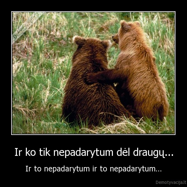 Ir ko tik nepadarytum dėl draugų... - Ir to nepadarytum ir to nepadarytum...