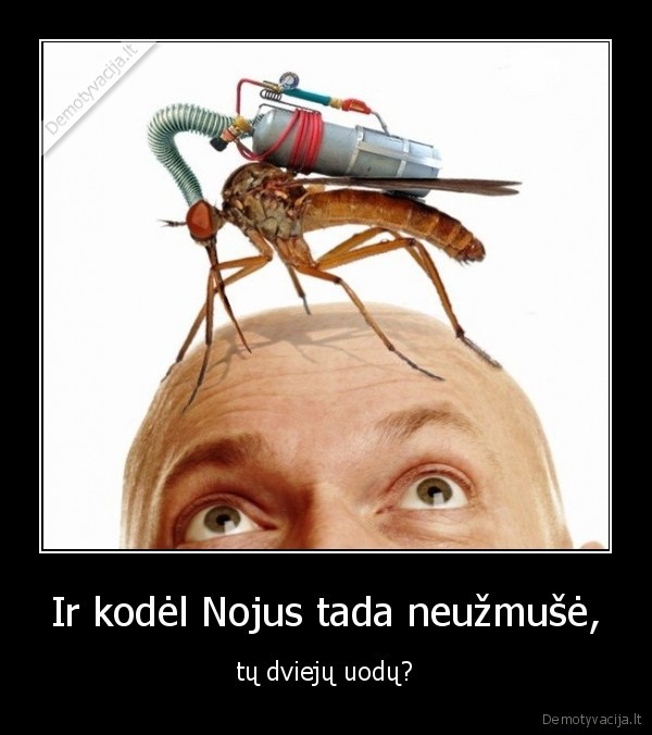 Ir kodėl Nojus tada neužmušė, - tų dviejų uodų?