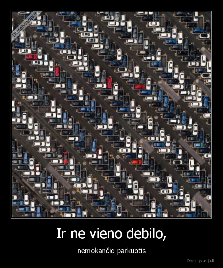 Ir ne vieno debilo, - nemokančio parkuotis