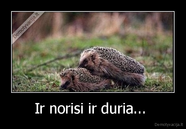 Ir norisi ir duria...  - 