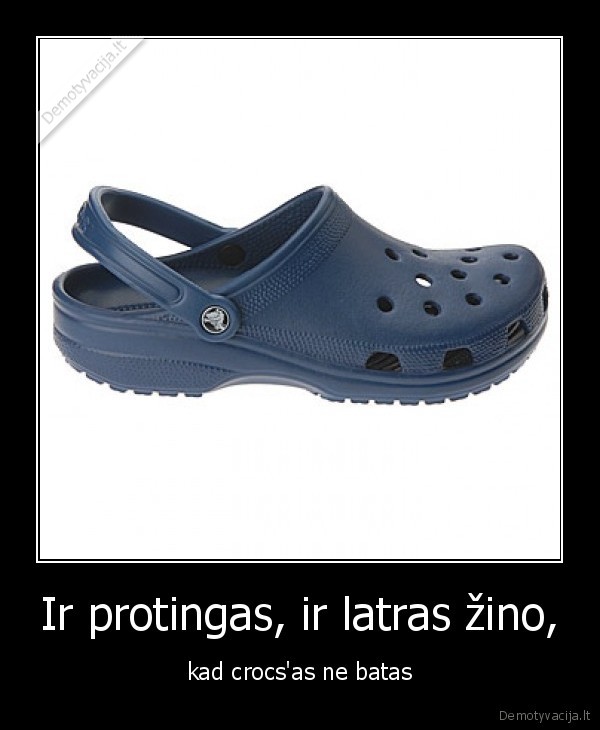 Ir protingas, ir latras žino, - kad crocs'as ne batas