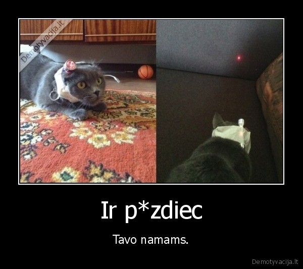 Ir p*zdiec - Tavo namams.