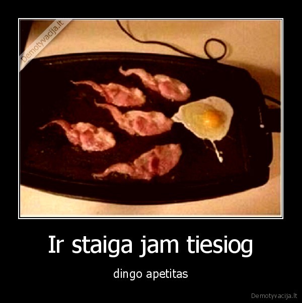 Ir staiga jam tiesiog - dingo apetitas