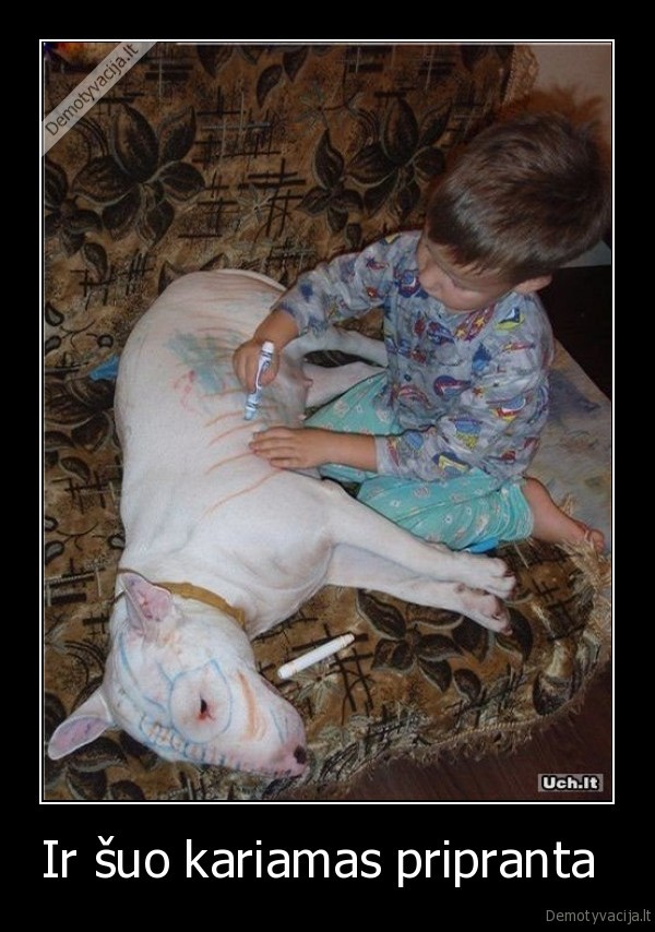 Ir šuo kariamas pripranta  - 